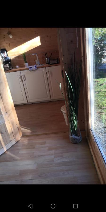 25 Qm Holz Bungalow, Garten-Grill, Gehoben, Optimiert, Massivholzbett Scharbeutz Exterior foto